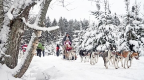 TUI Wolters Nordeuropa Aktivreisen Foto TUI Wolters